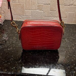 Elegant Etienne Aigner Red Crossbody Camera Bag